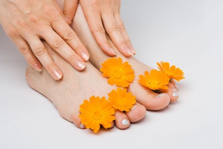 Flores de caléndula contra hongos en las uñas de los pies
