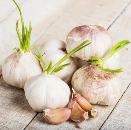 Ajo